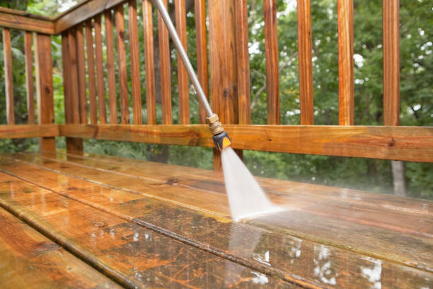 Best Roof Pressure Washing  in Mantua, VA